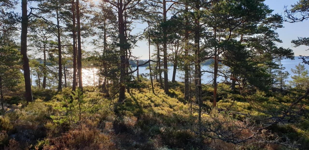 Rolfskaerrs Stugby Hotell Nygård Eksteriør bilde